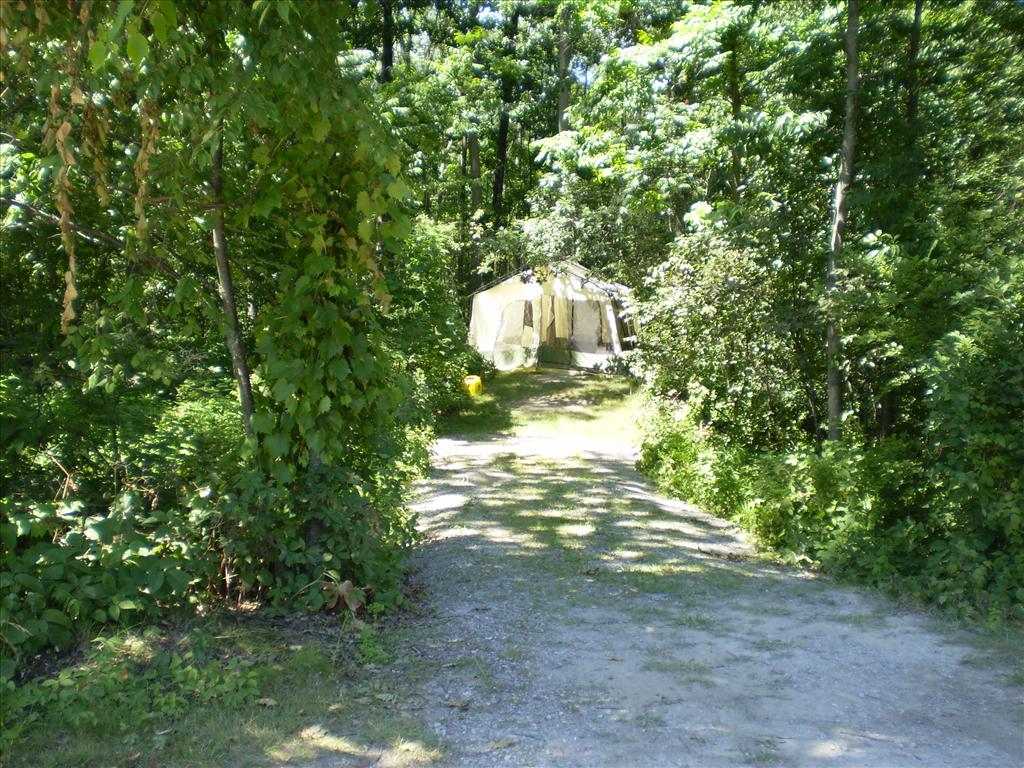 Park Photo Album